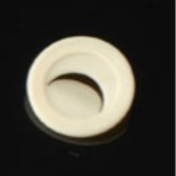 Check valve